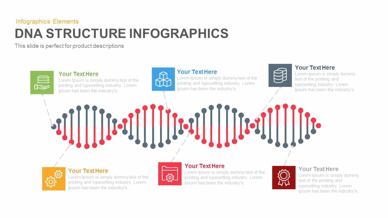 DNA Structure Powerpoint Template And Keynote Slide Slidebazaar